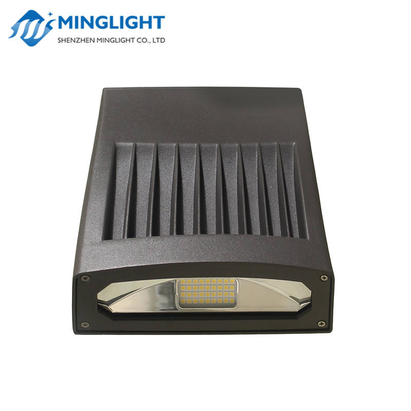 LED стенна светлина WPD 60W