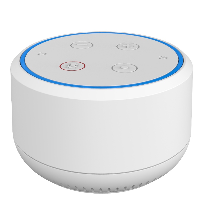 YG-WS19933 Smart Wifi Speaker