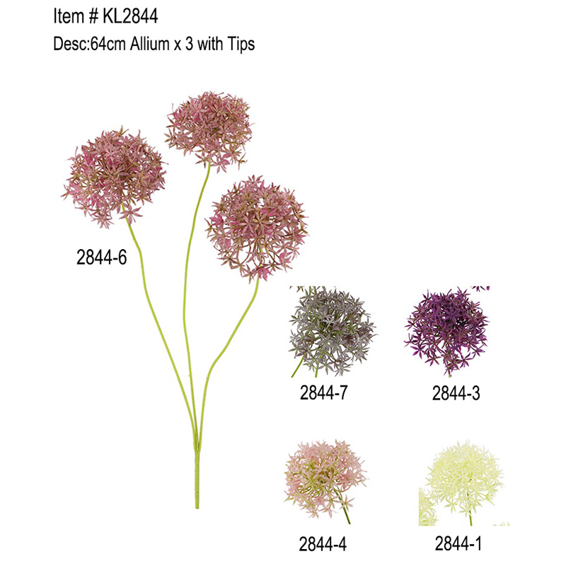 64cm Allium x 3 с подсказки
