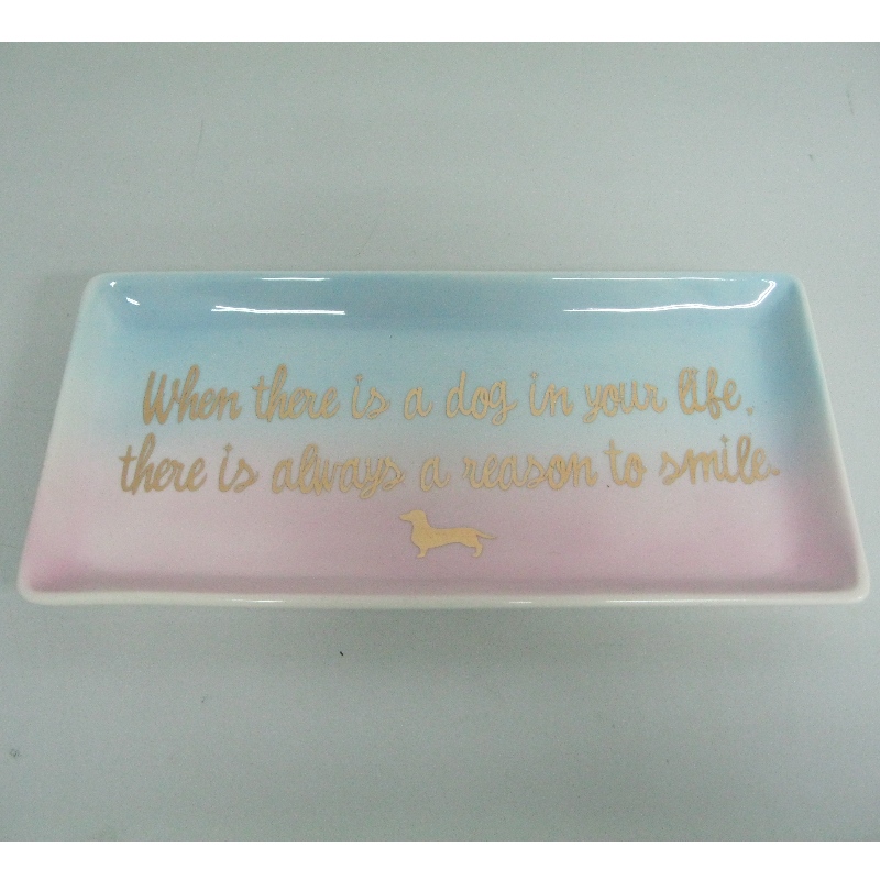 Ceramic Food Service Plate Derocation Plate 4.5 Occon82221x9 x0.75
